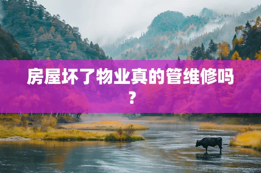 房屋坏了物业真的管维修吗？