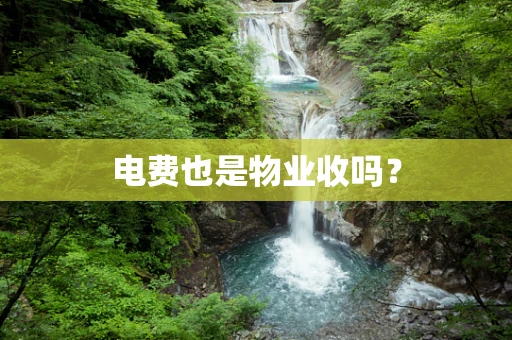 电费也是物业收吗？