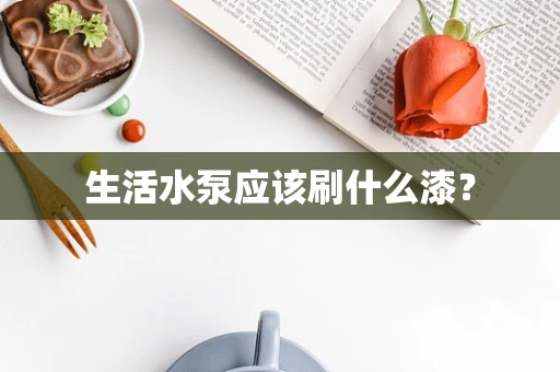 生活水泵应该刷什么漆？
