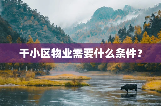 干小区物业需要什么条件？