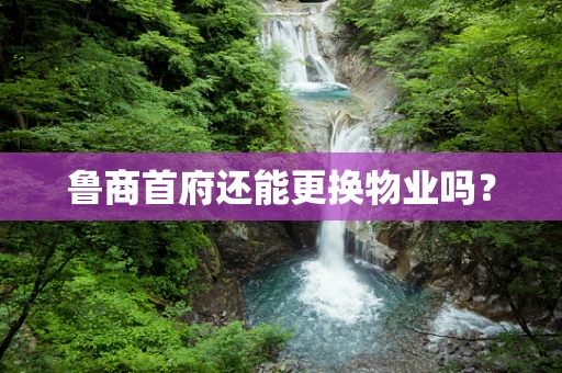 鲁商首府还能更换物业吗？