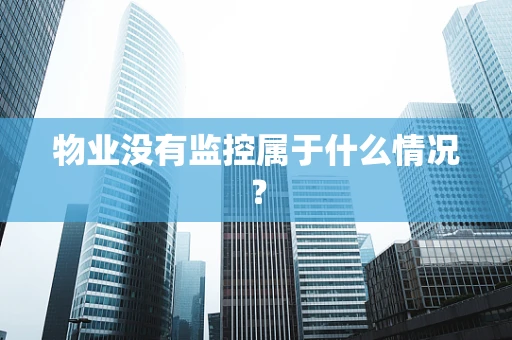 物业没有监控属于什么情况？