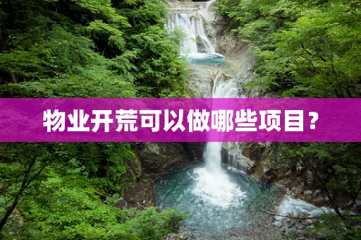 物业开荒可以做哪些项目？