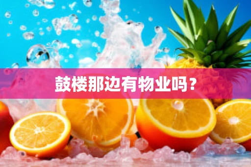 鼓楼那边有物业吗？