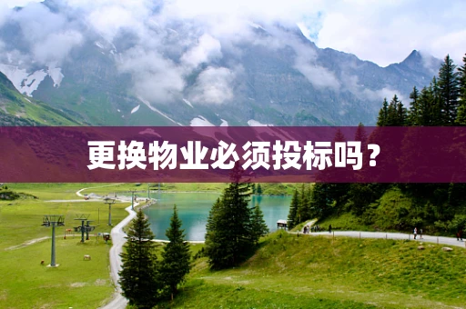 更换物业必须投标吗？