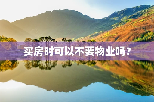 买房时可以不要物业吗？