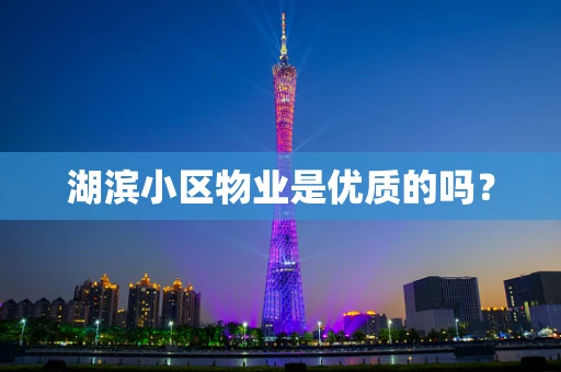 湖滨小区物业是优质的吗？