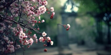 介休物业究竟归什么局管？