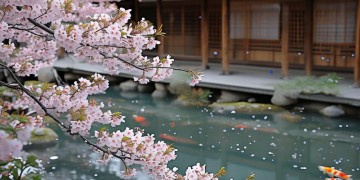 日本物业究竟叫什么？