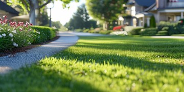 物业的服务范围包括道路保洁吗？