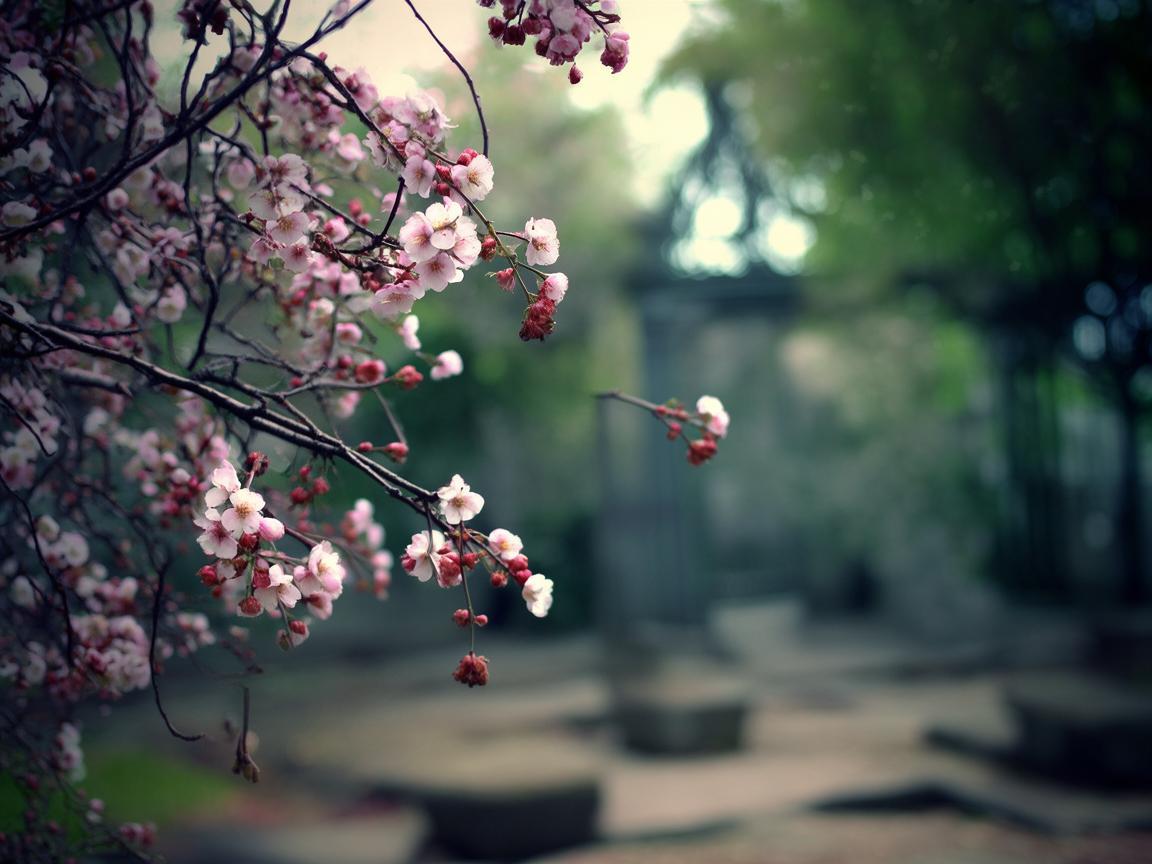 介休物业究竟归什么局管? 介休物业究竟归什么局管?